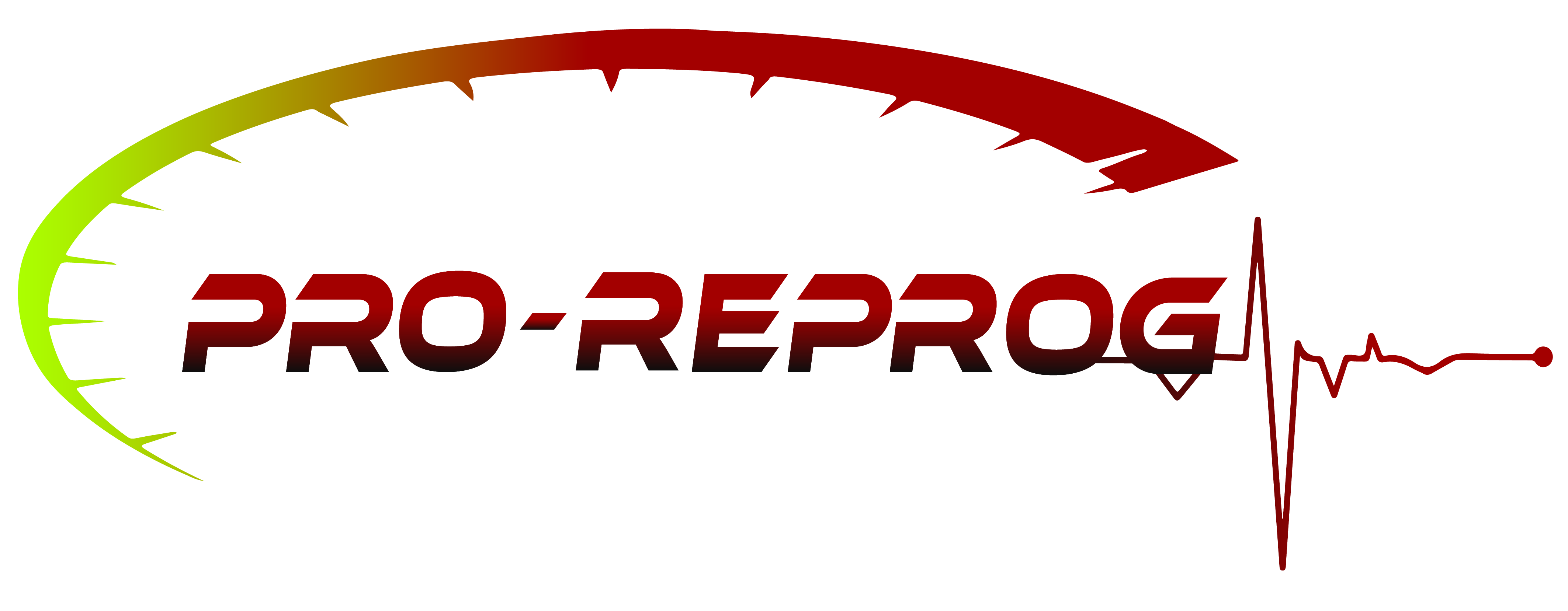 Digital-Pro Reprog